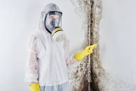 Best Water Damage & Mold Remediation  in South Windham, CT